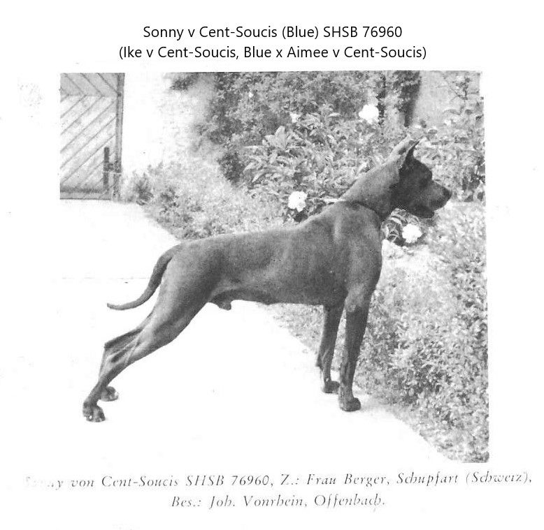 Sonny von Cent-Soucis